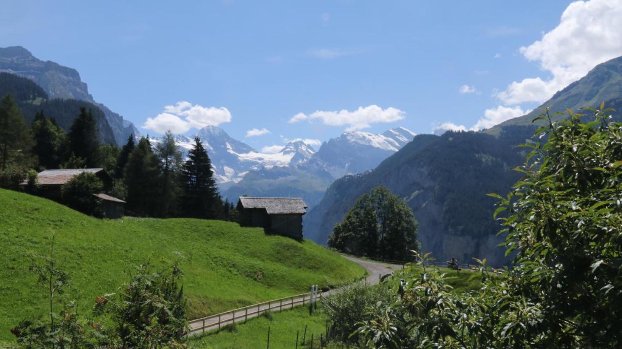 Appartamento Staubbachbaenkli Wengen Esterno foto