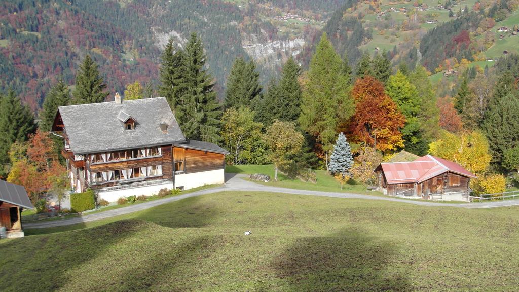 Appartamento Staubbachbaenkli Wengen Esterno foto