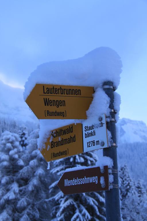 Appartamento Staubbachbaenkli Wengen Esterno foto
