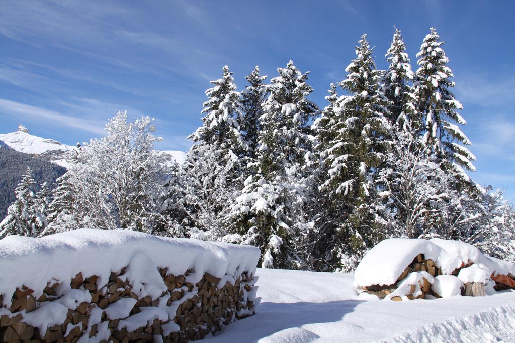 Appartamento Staubbachbaenkli Wengen Esterno foto