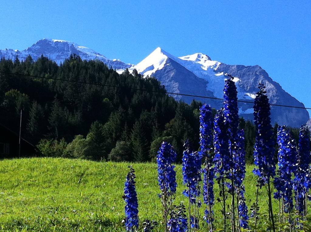 Appartamento Staubbachbaenkli Wengen Esterno foto