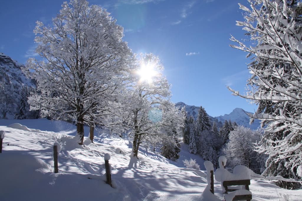 Appartamento Staubbachbaenkli Wengen Esterno foto