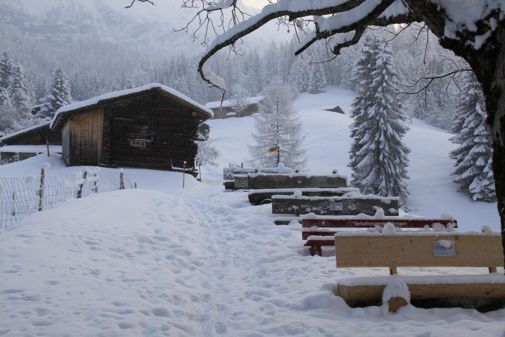 Appartamento Staubbachbaenkli Wengen Esterno foto